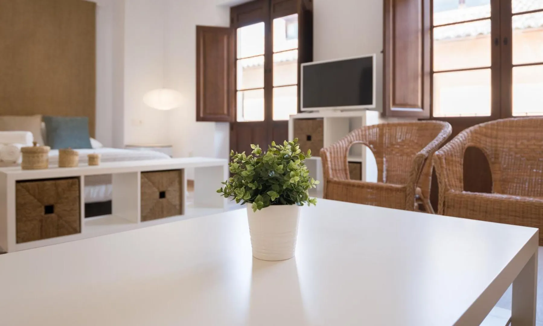 Santiago Premium Loft II Apartment Malaga